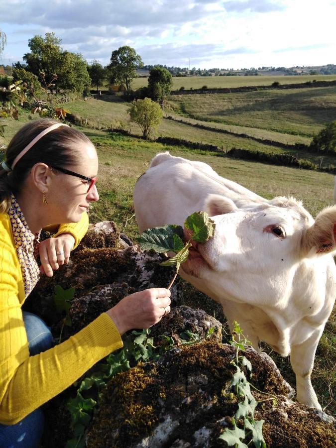 La Mazille , Cossy Vakantiestudio Met Zwembad In Zuid-Bourgogne Anglure-sous-Dun Bagian luar foto