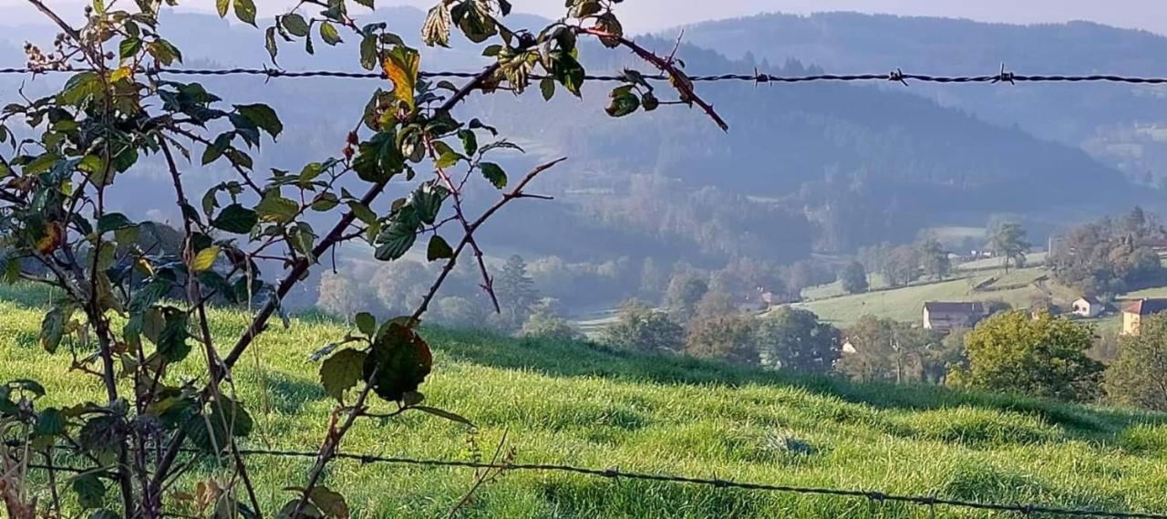 La Mazille , Cossy Vakantiestudio Met Zwembad In Zuid-Bourgogne Anglure-sous-Dun Bagian luar foto
